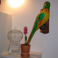 File name :DSCN0843.JPG
File size :637.4KB(652733Bytes)
Shoot date :2004/11/25 23:38:04
Picture size :2048 x 1536
Resolution :72 x 72 dpi
Number of bits :8bit/channel
Protection attribute :Off
Hide Attribute :Off
Camera ID :N/A
Model name :E995
Quality mode :NORMAL
Metering mode :Multi-pattern
Exposure mode :Programmed auto
Flash :Yes
Focal length :8.2 mm
Shutter speed :1/30second
Aperture :F2.6
Exposure compensation :0 EV
Fixed white balance :Auto
Lens :Built-in
Flash sync mode :Red eye reduction
Exposure difference :N/A
Flexible program :N/A
Sensitivity :Auto
Sharpening :Auto
Curve mode :N/A
Color mode :COLOR
Tone compensation :AUTO
Latitude(GPS) :N/A
Longitude(GPS) :N/A
Altitude(GPS) :N/A