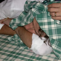 File name :DSCN9629.JPG
File size :410.3KB(420170Bytes)
Shoot date :2003/06/28 01:26:35
Picture size :2048 x 1536
Resolution :72 x 72 dpi
Number of bits :8bit/channel
Protection attribute :Off
Hide Attribute :Off
Camera ID :N/A
Model name :E995
Quality mode :BASIC
Metering mode :Multi-pattern
Exposure mode :Programmed auto
Flash :Yes
Focal length :16.2 mm
Shutter speed :1/60.3second
Aperture :F3.5
Exposure compensation :0 EV
Fixed white balance :Auto
Lens :Built-in
Flash sync mode :Front curtain
Exposure difference :N/A
Flexible program :N/A
Sensitivity :Auto
Sharpening :Auto
Curve mode :N/A
Color mode :COLOR
Tone compensation :AUTO
Latitude(GPS) :N/A
Longitude(GPS) :N/A
Altitude(GPS) :N/A